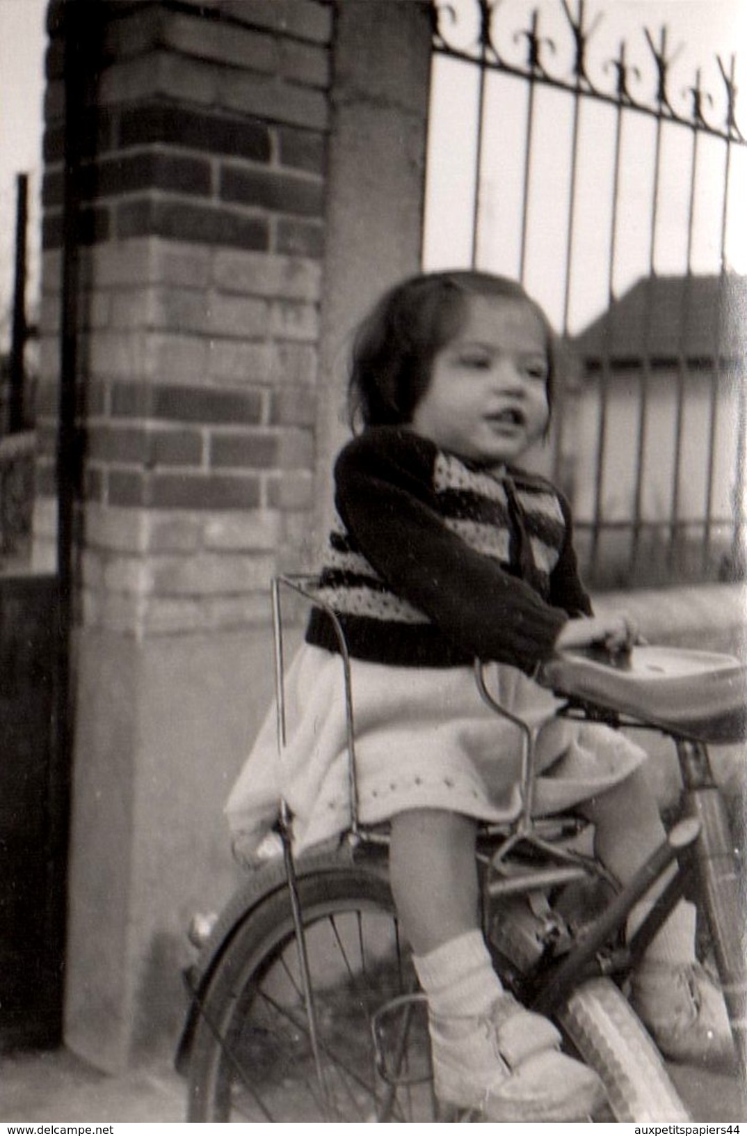 Photo Originale Chaise Enfant Porte Bagages & Fillette Dessus Vers 1952 - Cyclisme