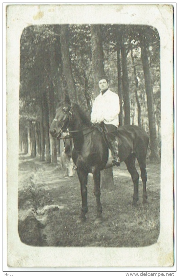 Carte Photo. Militaria. Camp Beverloo. Ecurie De L'Etat Major; 2/2 Grenadier. Cachet Léopoldsburg 1913. - Krieg, Militär