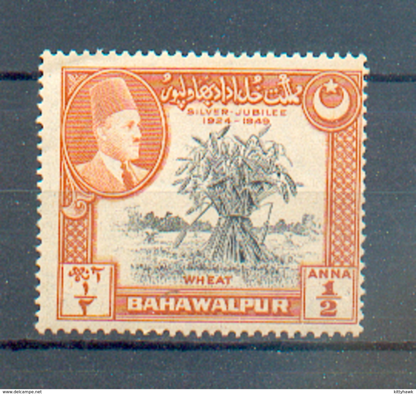 C  22 - BAHAWALPUR - YT 19 ** - Bahawalpur