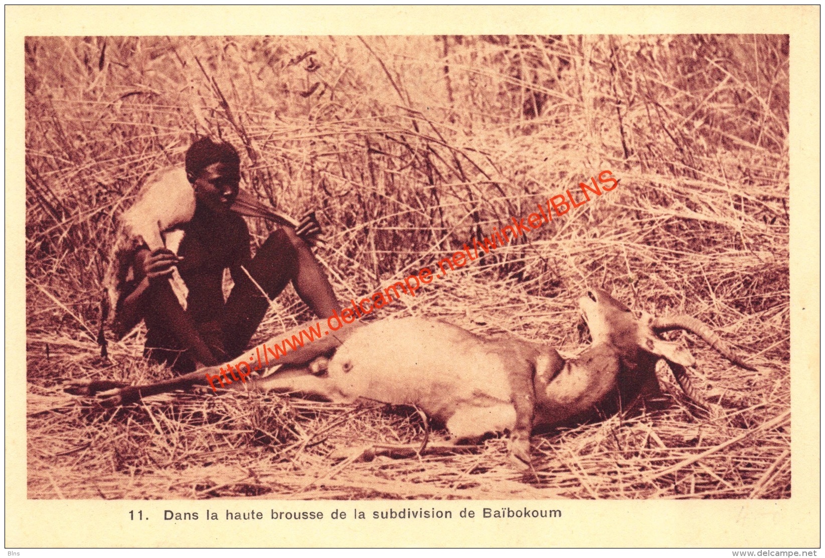 Dans La Haute Brousse De La Subdivision De Baïbokoum - Zentralafrik. Republik