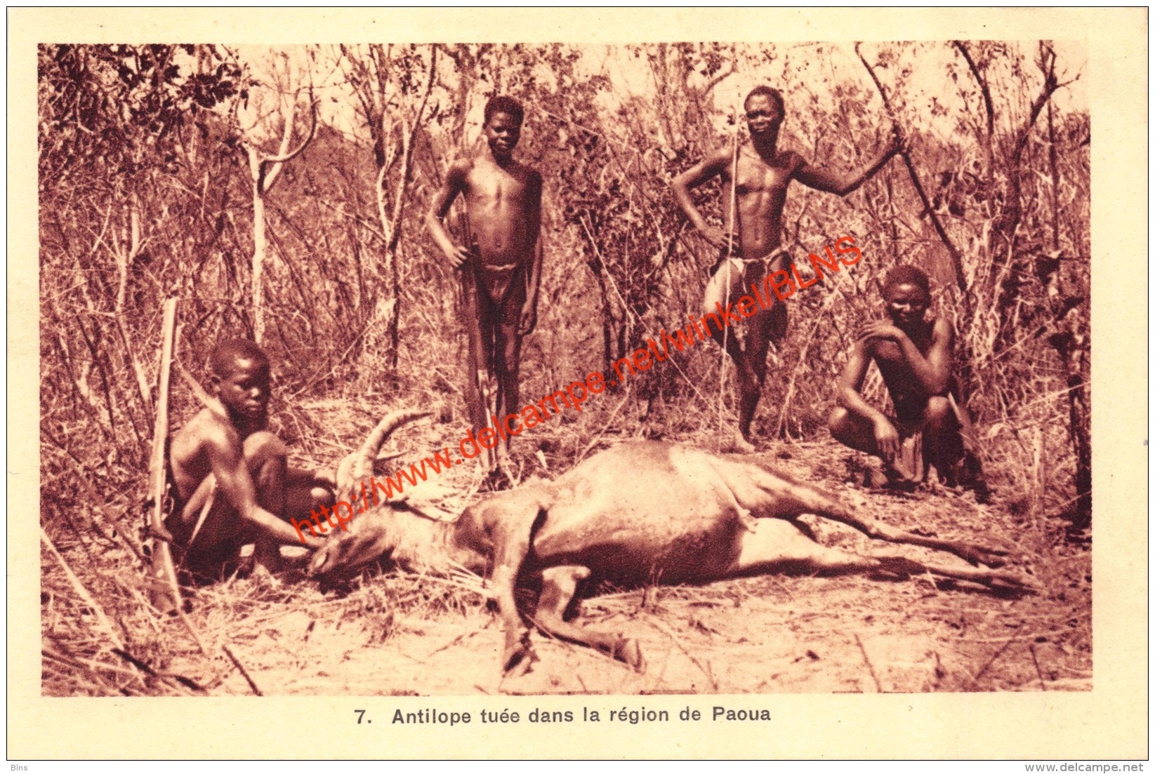 Antilope Tuée Dans La Région De Paoua - Central African Republic