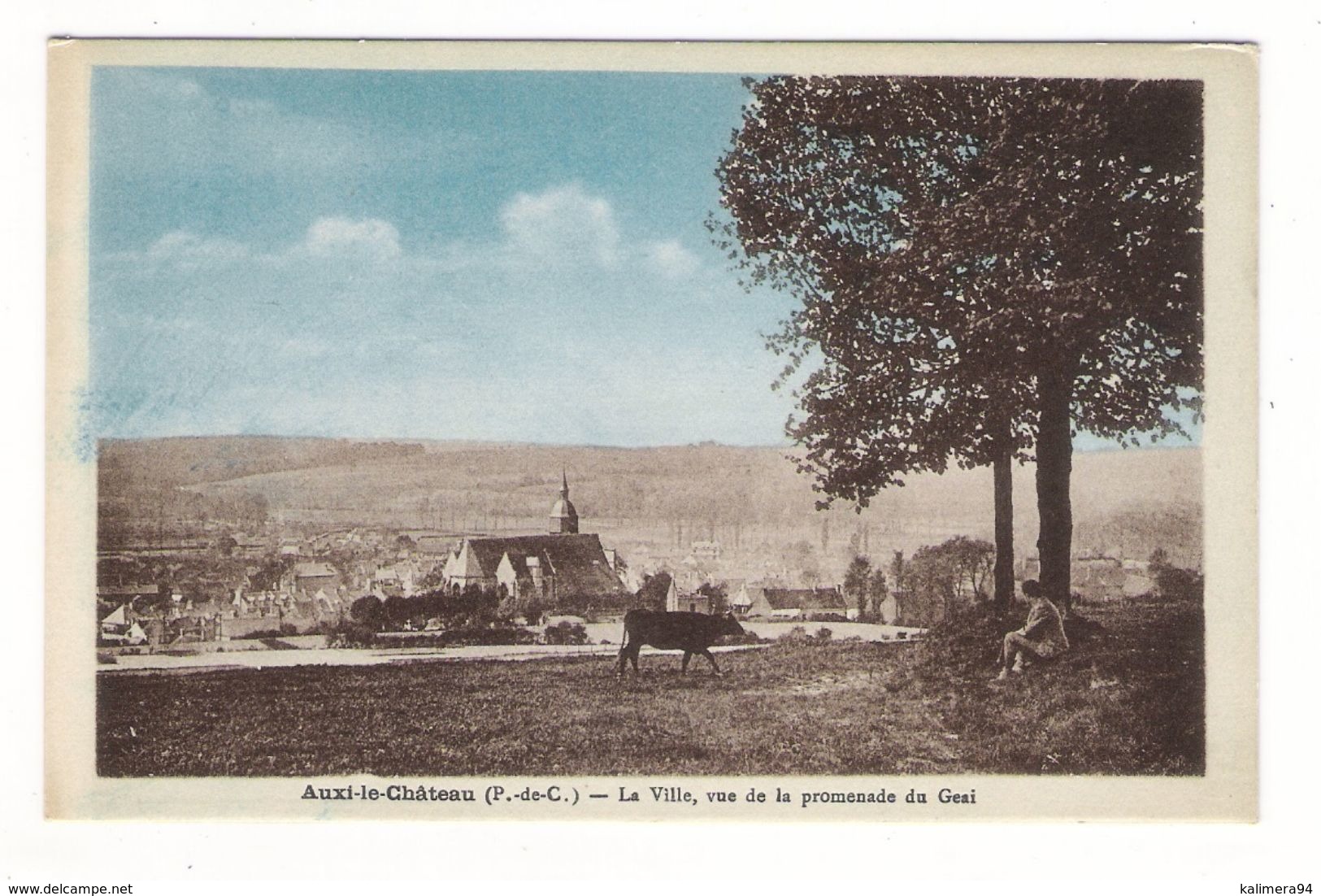 PAS-DE-CALAIS  /  AUXI-le-CHÂTEAU  /  LA  VILLE , VUE  DE  LA  PROMENADE  DU  GEAI  ( Vache ) - Auxi Le Chateau