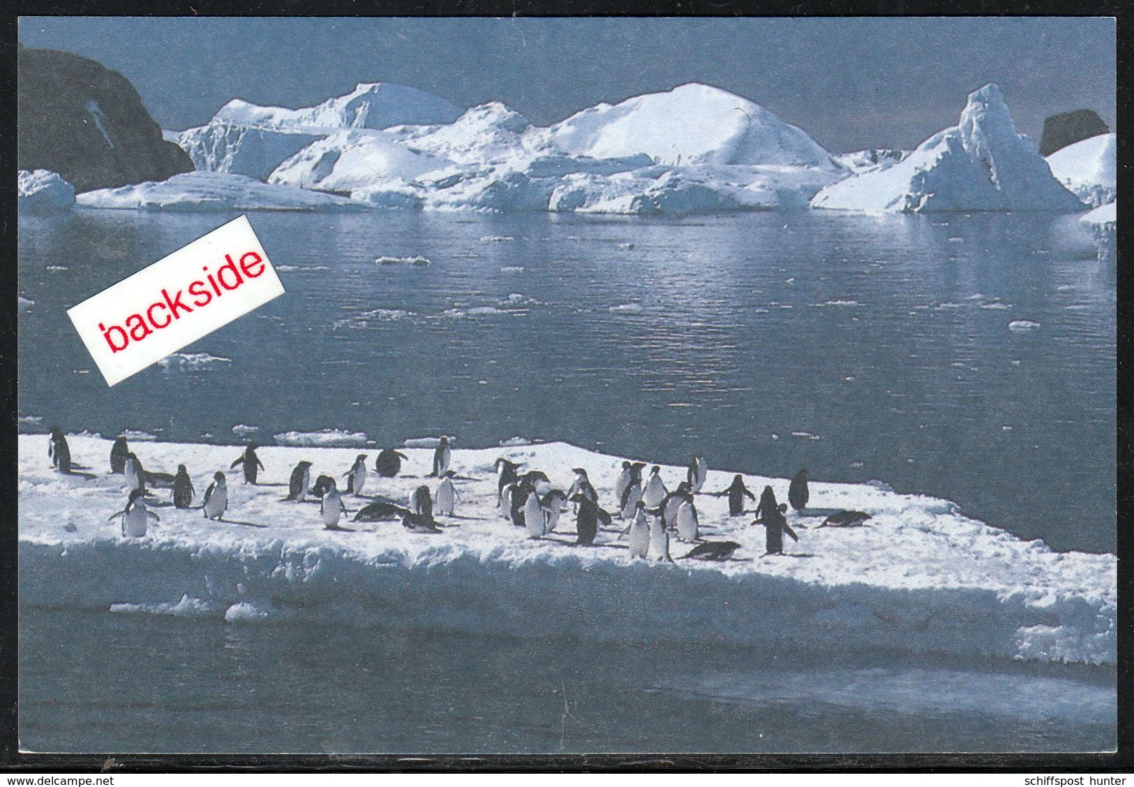 ANTARCTIC,TAAF, AMSTERDAM,  Color-card, Cachet,  Look Scans !! 14.6-04 - Postwaardestukken