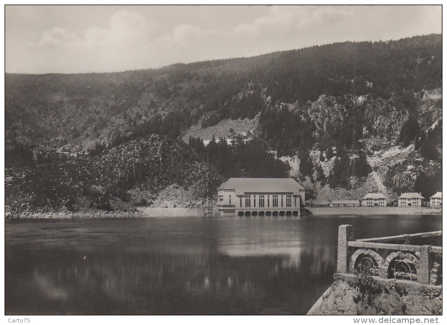 Allemagne - Am Schwarzen See - Editeur Fleix Luib Strasburg - Moulin - Rheinsberg