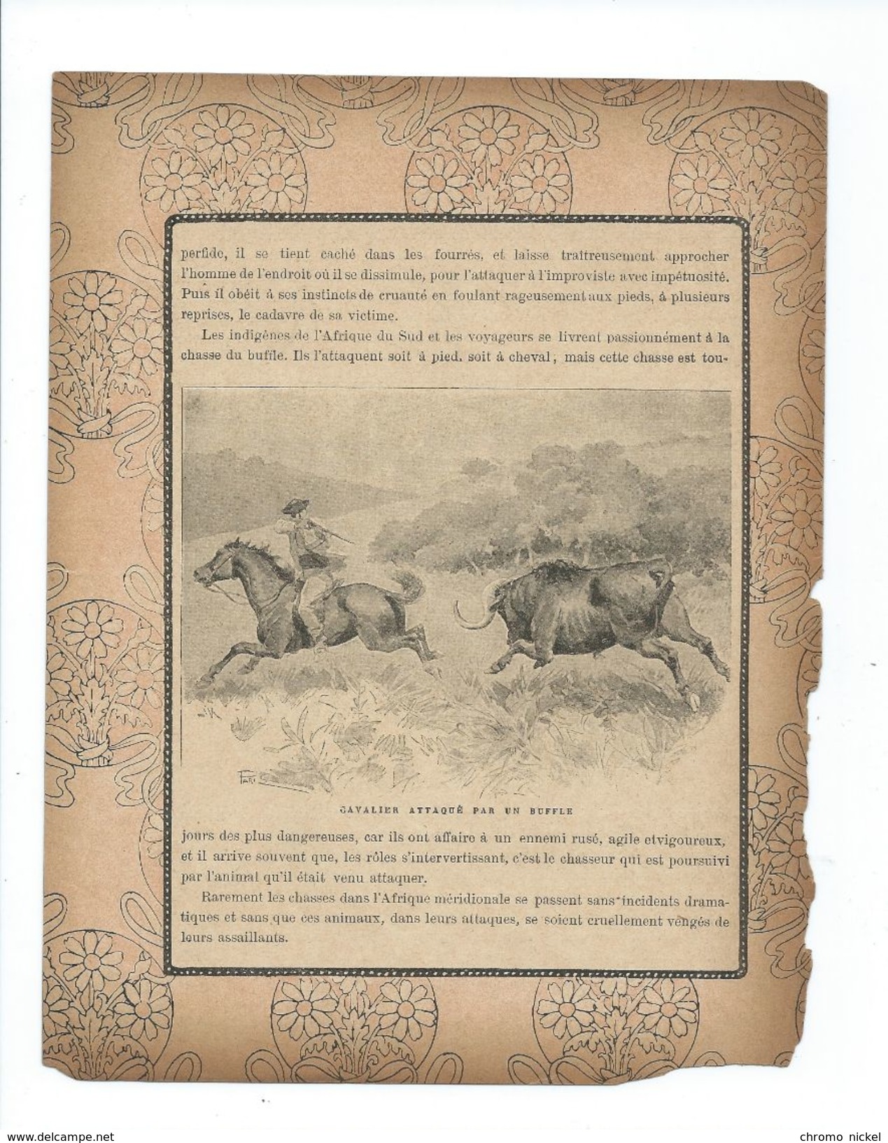 Buffles  Chasse Protège-cahier Couverture Fin XIX  Didactique Au Dos. Etat Moyen Mais RR. Voir 3 Scans - Book Covers