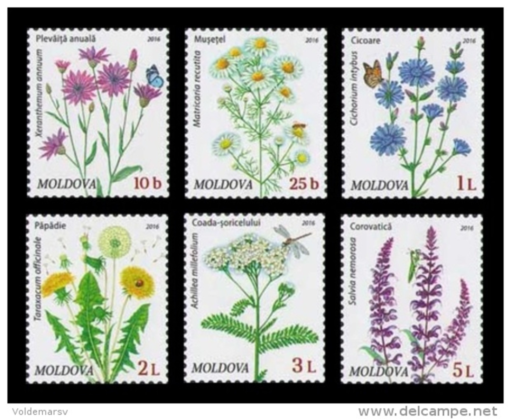 Moldova 2016 Mih. 951/56 Definitive Issue. Flora. Wildflowers MNH ** - Moldova