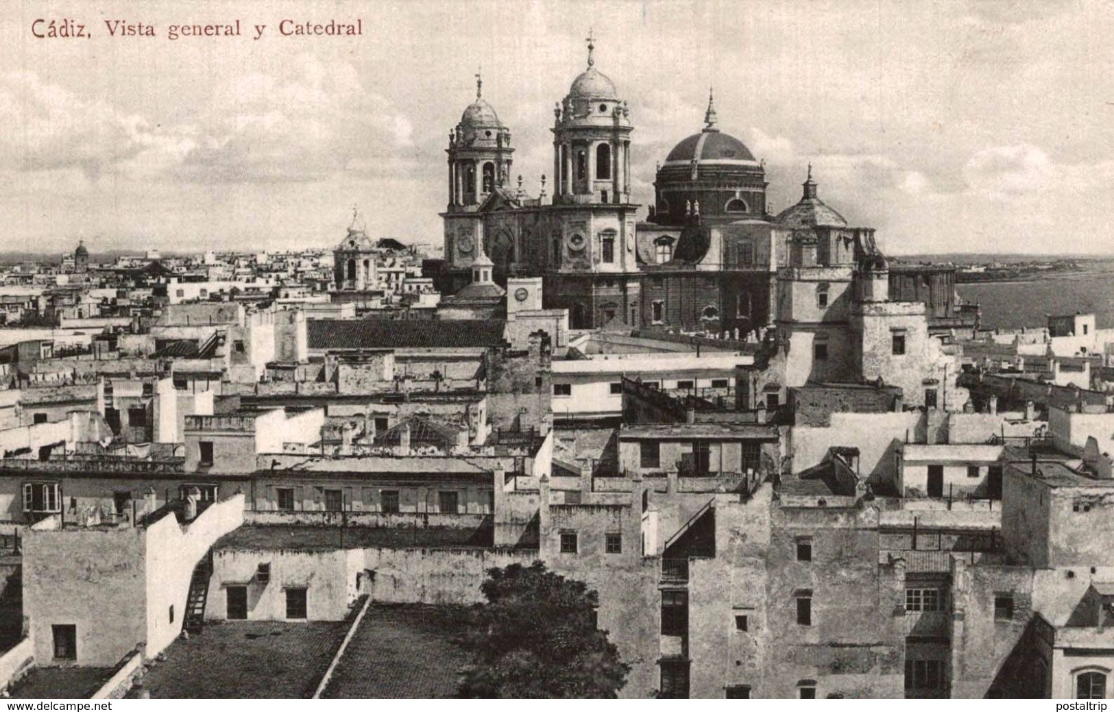 CADIZ. VISTA GENERAL Y CATEDRAL - Cádiz