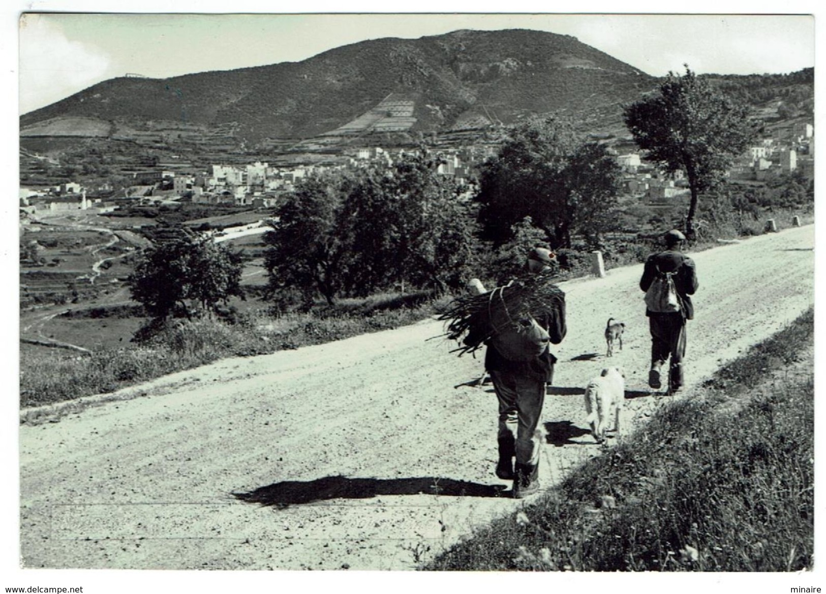 ORGOSOLO (Nuoro) Panorama - Circulée 1968- Bon état - Autres & Non Classés