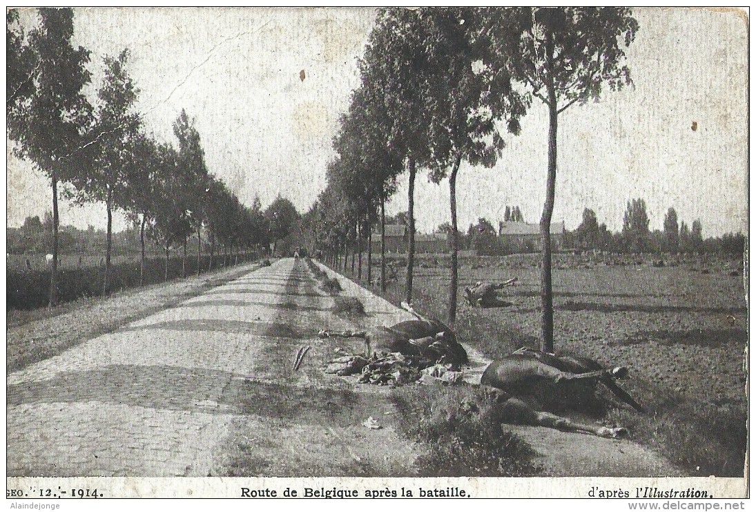 Route De Belgique Après La Bataille " GEO" 12-1914 - Guerra 1914-18