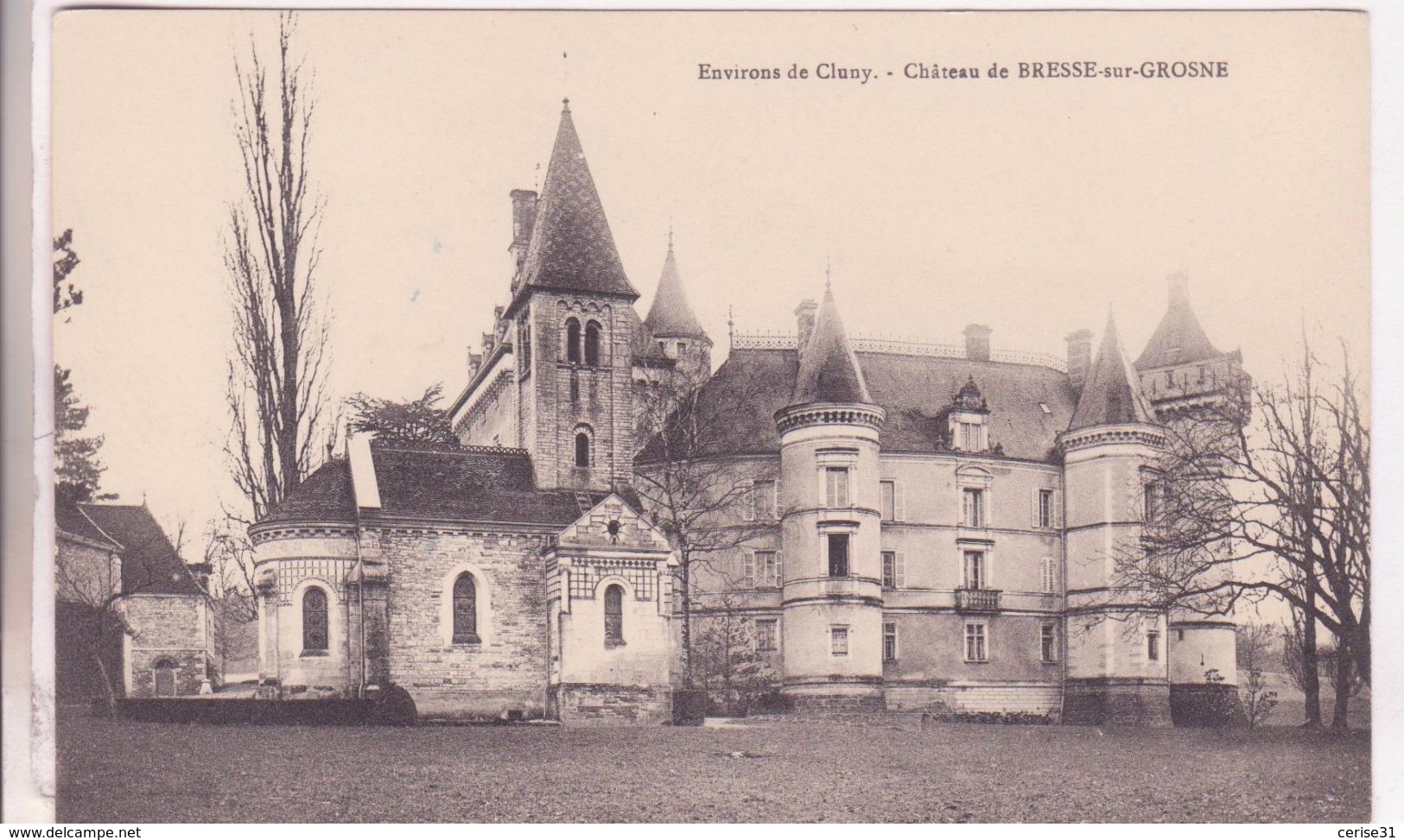 CPA -  ENV DE CLUNY -  Château De BRESSE SUR GROSNE - Cluny