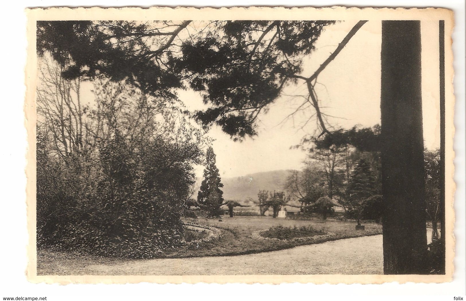 Hermalle-sous-Argenteau - Les Peupliers - Maison De Repos .... - Vue Du Parc - Phototon Brillant - Oupeye