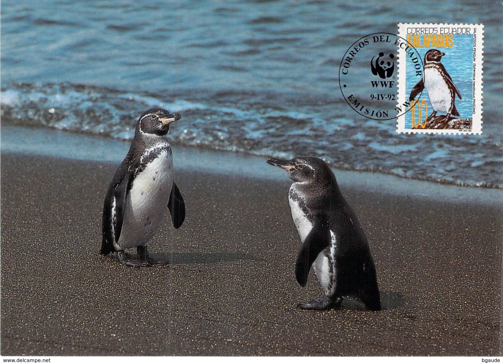 EQUATEUR GALAPAGOS   WWF CARTE MAXIMUM NUM.YVERT 1240   ANNEE 1992  PROTECTION DE LA NATURE MANCHOT PINGOUIN - Maximumkarten