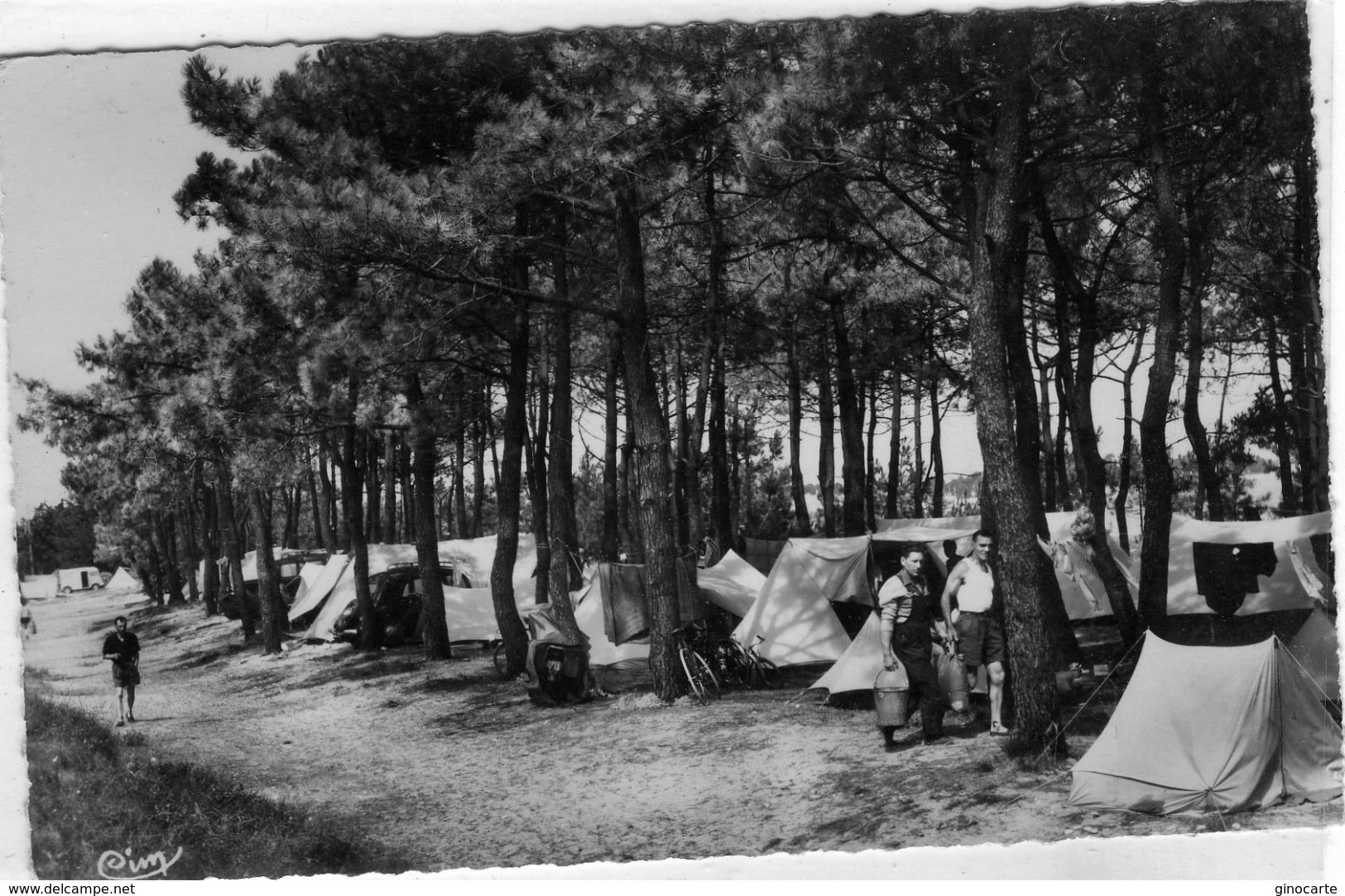 Rivedoux Plage Camping Sous Les Pins - Autres & Non Classés