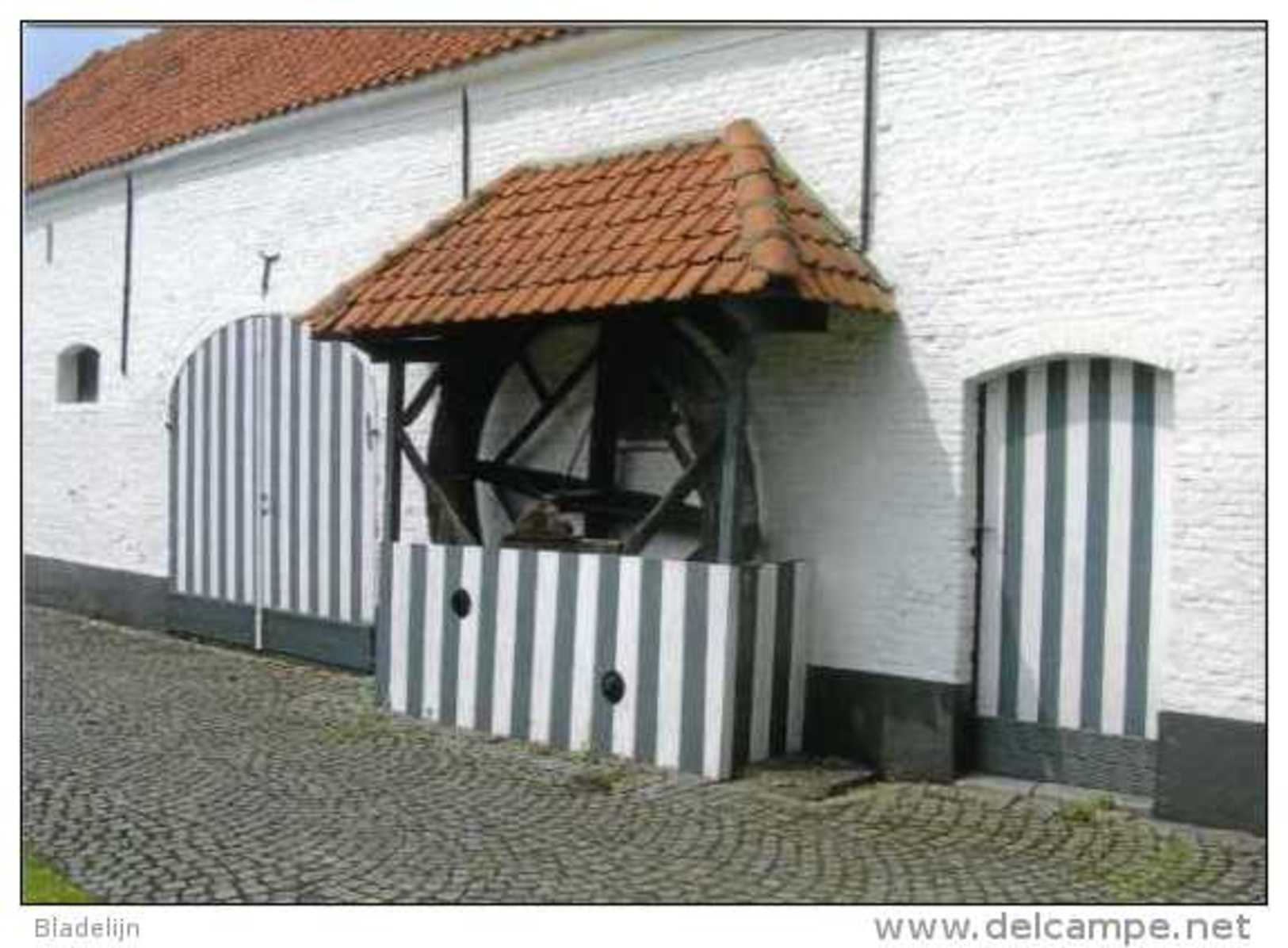 OPDORP Bij Buggenhout (O.Vl.) - Molen/moulin - Mooie Prentkaart Van De Botermolen (hondenmolen) Bij De Valkenhoeve - Buggenhout