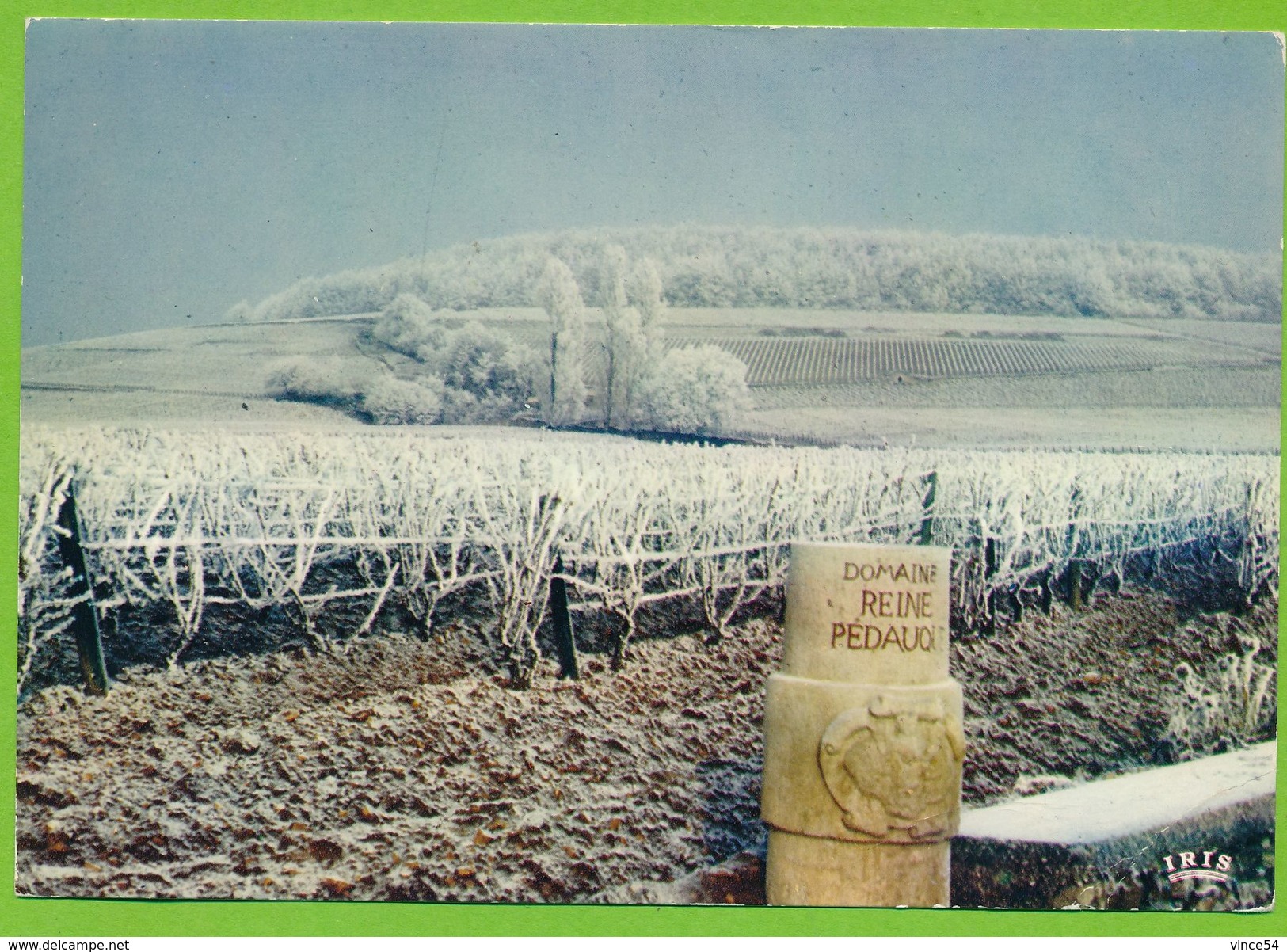 Plaisir D'une Visite Aux Caves De La REINE PEDAUQUE - BEAUNE - Le Corton En Hiver - Beaune