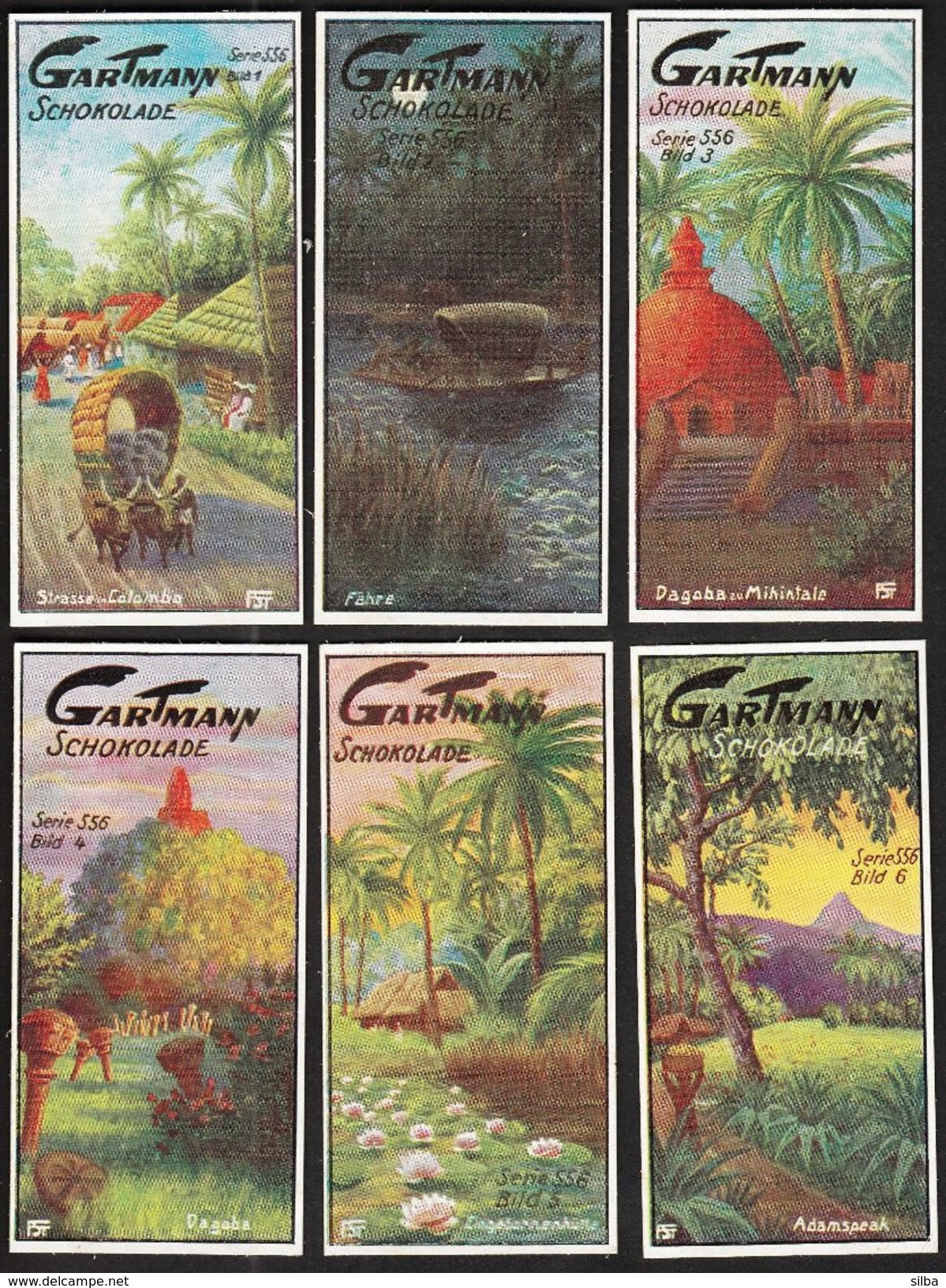 Altona /.Gartmann - Kakao Und Schokolade Fabrik / Serie 556 / 1-6 Komplett / Bilder Aus Ceylon / Boat, Cows - Sonstige & Ohne Zuordnung