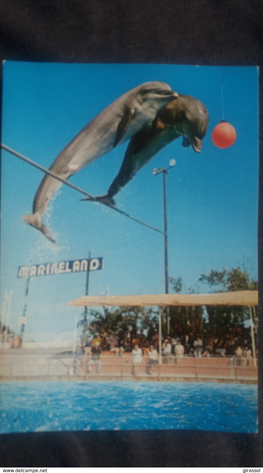 CPSM SAUT GROUPE DE DAUPHINS A 5 M  MARINELAND D ANTIBES ROUTE DE BIOT ANTIBES - Delfines