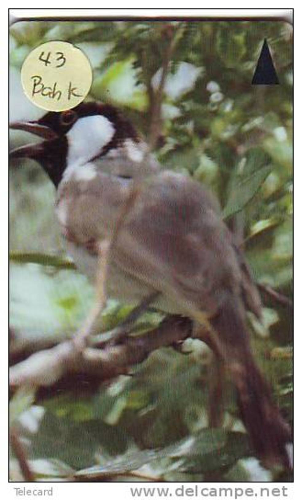 BAHRAIN Telecarte (43 BAHK )  Bahrain Birds - Bahreïn