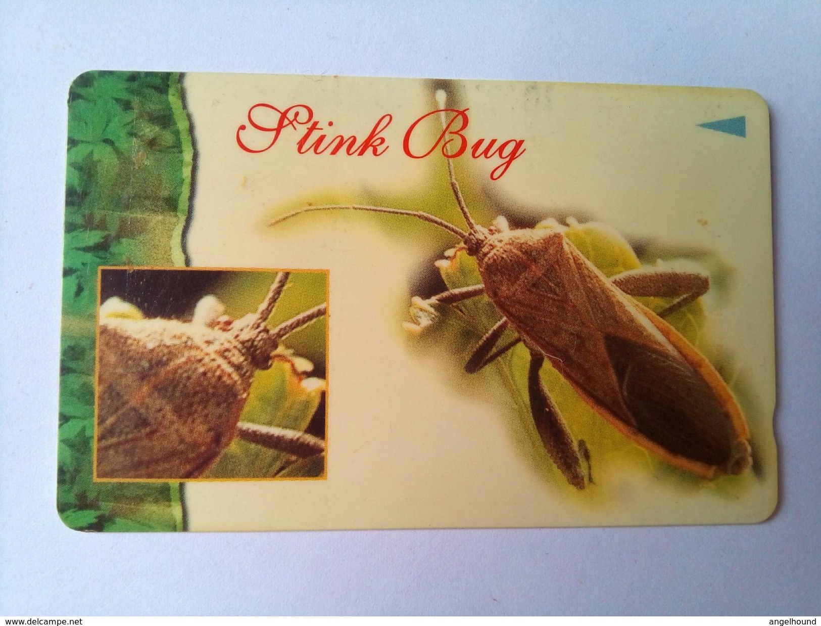 Singapore Phonecard 113SIGC Stink Bug $10 - Otros & Sin Clasificación