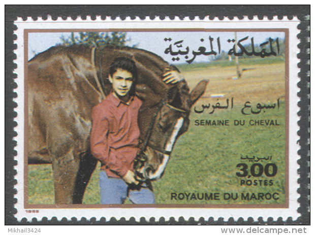 3128 Fauna Horses Animals 1988 Maroc 1v Set MNH ** - Horses