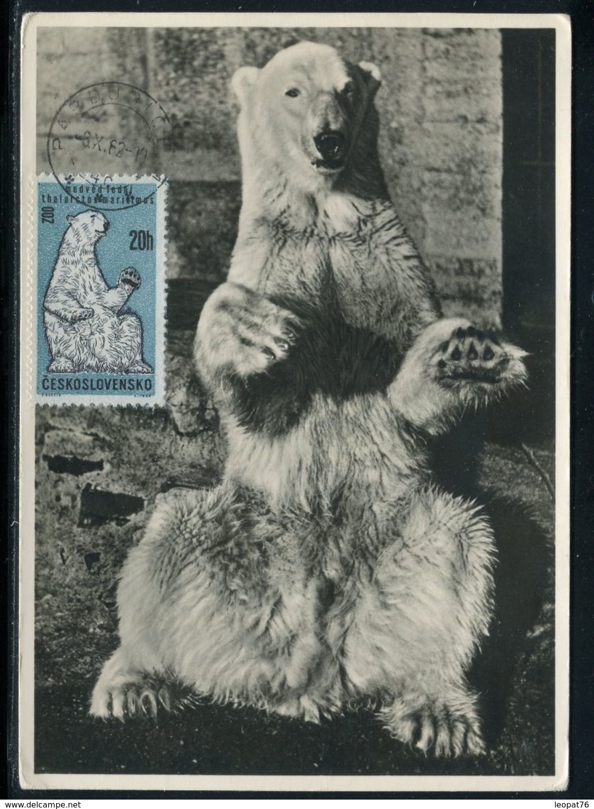 Tchécoslovaquie - Carte Maximum 1962 - Animaux - L' Ours Blanc - Covers & Documents