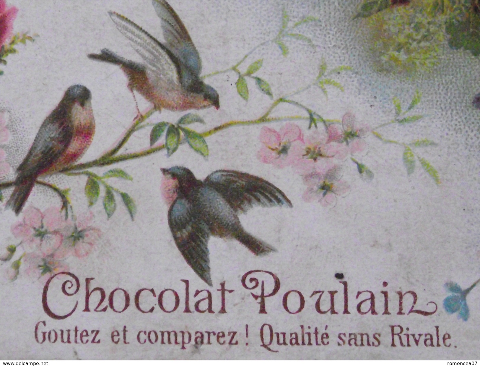 CHOCOLAT POULAIN - Oiseaux Sur Une Branche De Rosier - Ancienne Publicité Alimentaire - A Voir ! - Chocolate