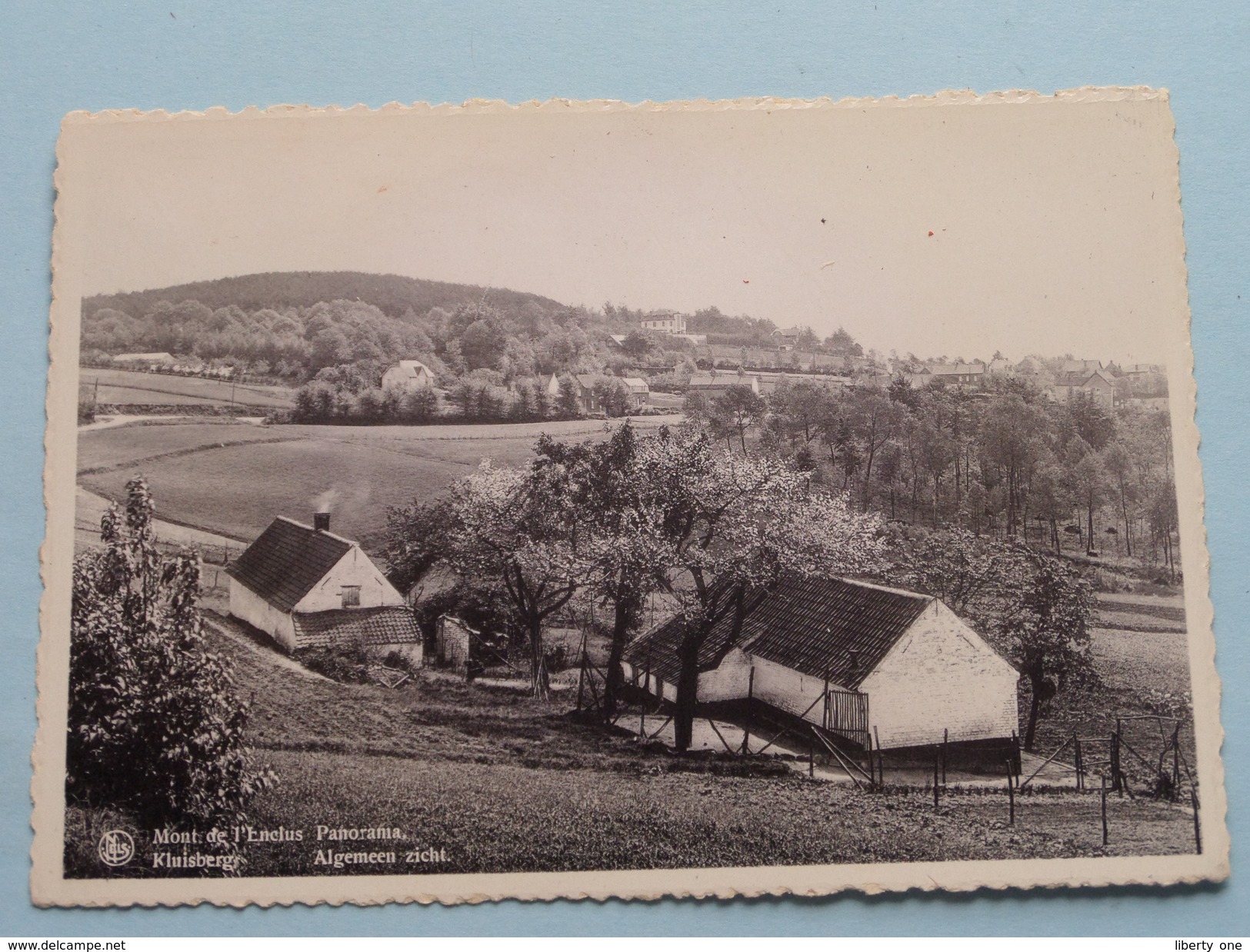 Panorama / Algemeen Zicht Mont-de-l'Enclus - Kluisberg ( Damiens ) Anno 19?? ( Zie Foto Voor Details ) !! - Kluisbergen