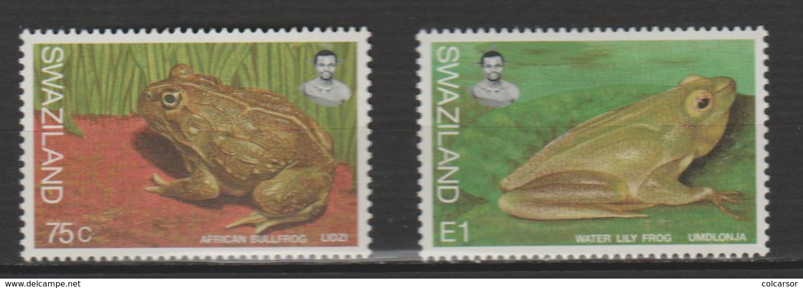 SWAZILAND ,N°675-676 "GRENOUILLES " - Grenouilles