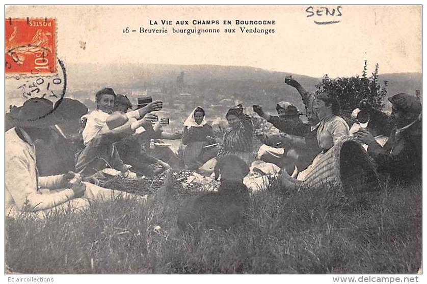 Thème Loisirs Pique-Nique    :   Sens  89   Beuverie Aux Vendanges - Otros & Sin Clasificación