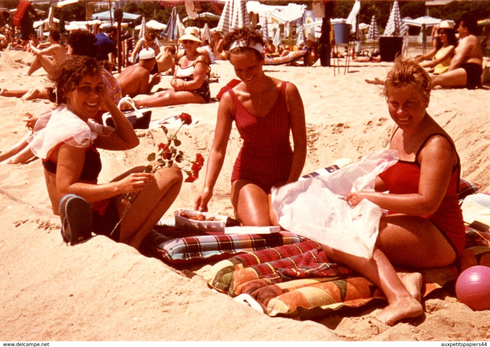 Photo Couleur Originale Bords Blancs - Bronzette Pour 3 Pin-up Et Roses Rouges Sur La Plage En Août 1967 - Pin-Ups