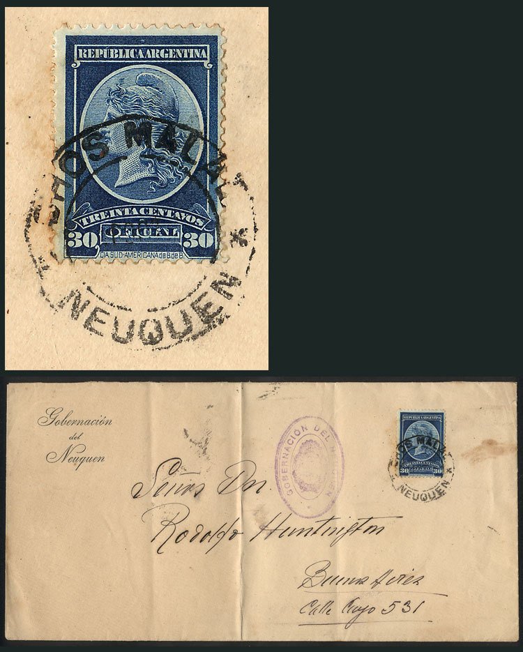 ARGENTINA GJ.39, 1901 Liberty 30c., Franking ALONE A Cover Sent From CHOS MALAL - Dienstzegels