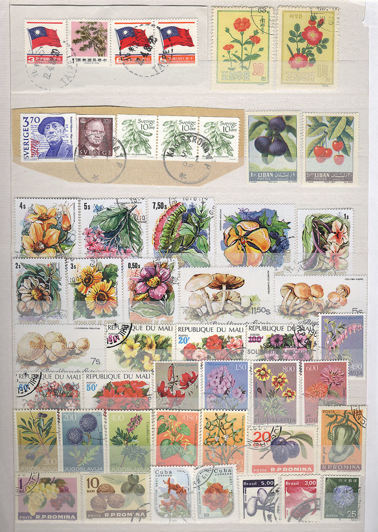 WORLDWIDE 48-Page Stockbook Full Of Stamps Of All Periods Topic FLOWERS, FLORA, - Andere & Zonder Classificatie