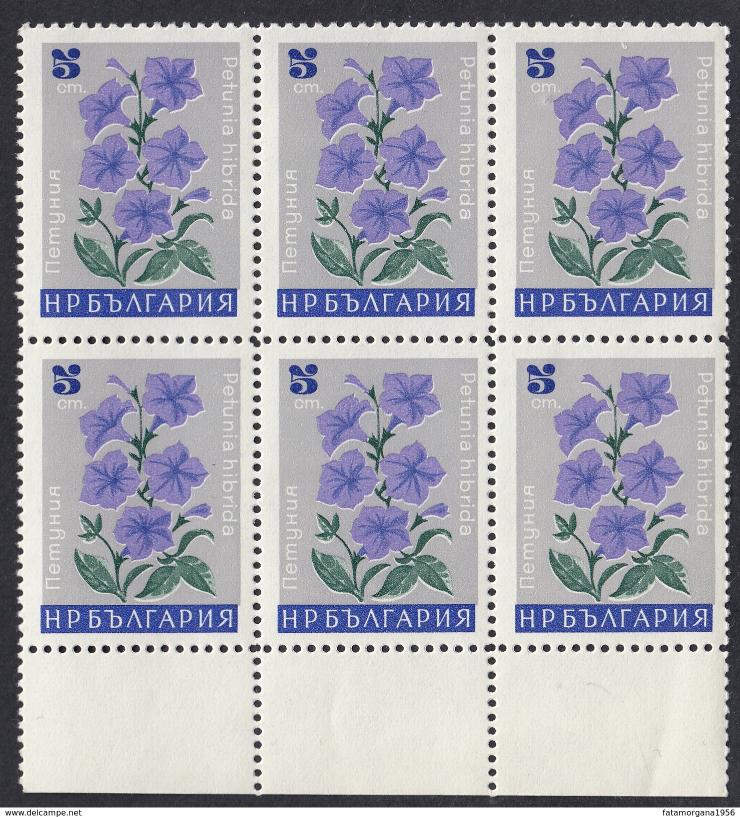 BULGARIA - 1967 -  Lotto Sei Sestine Yvert 1475, 1476, 1477, 1478, 1480 E 1482 Nuovi MNH. - Ungebraucht