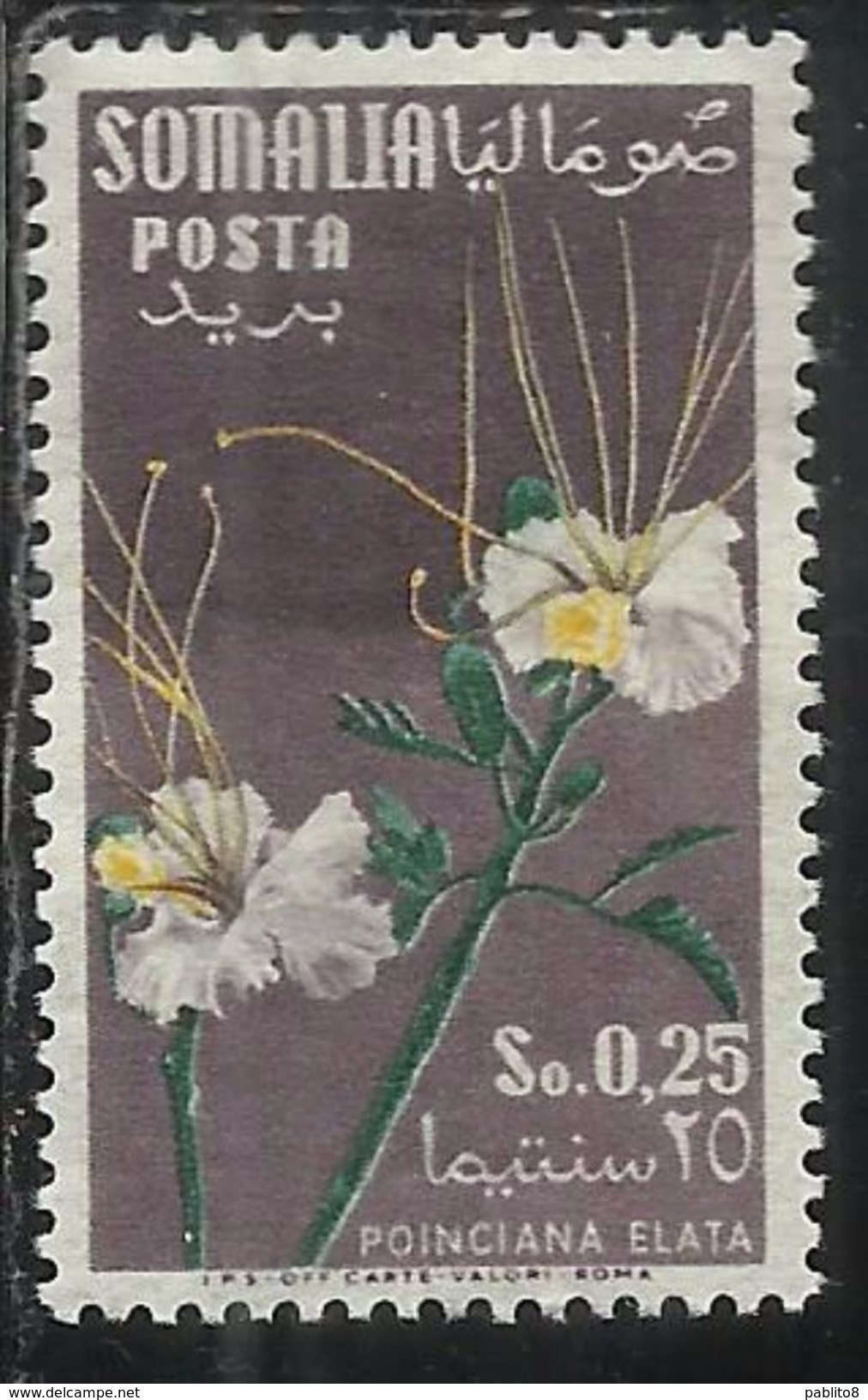 SOMALIA AFIS 1955 FIORI FLOWERS FLEURS FLORA POINCIANA ELATA CENT. 25c 0,25S MNH - Somalië (AFIS)