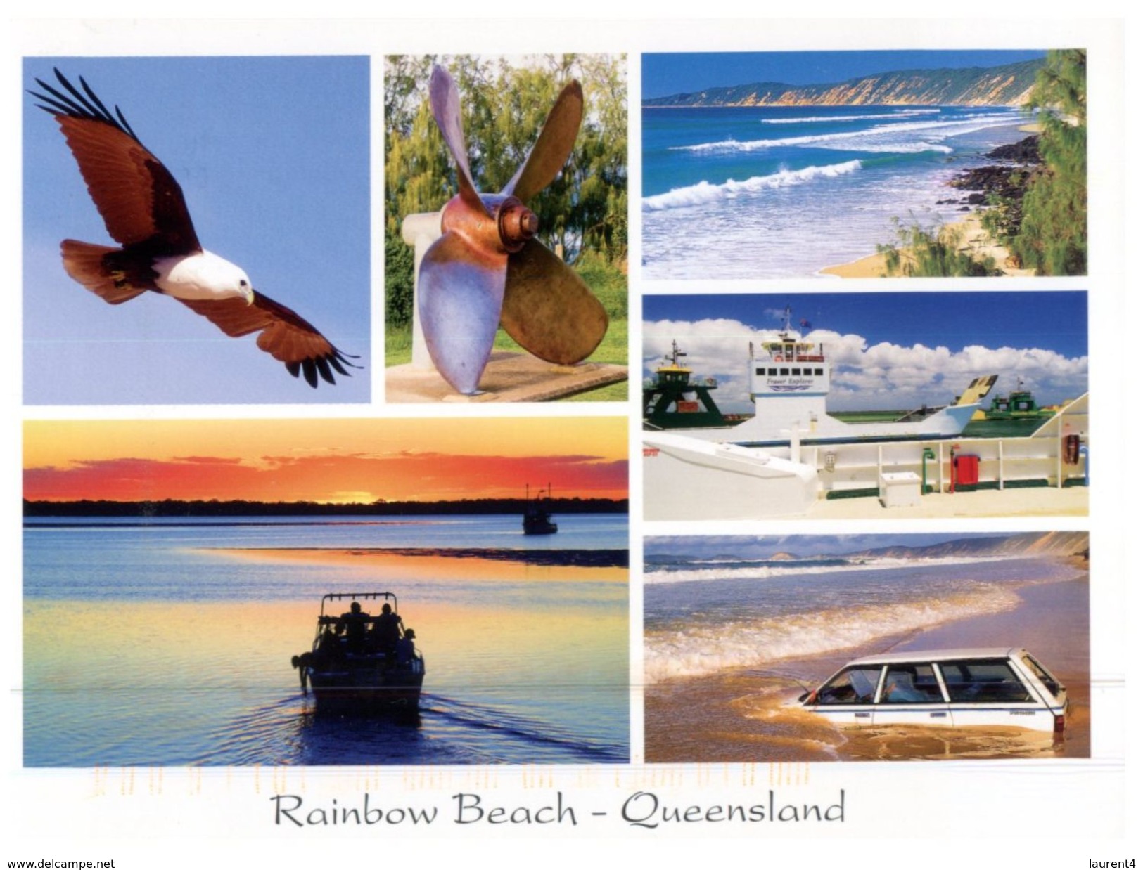 (531) Australia - (with Stamp At Back Of Postcard) - QLD - Rainbow Beach (with Sea Eagle) - Sunshine Coast