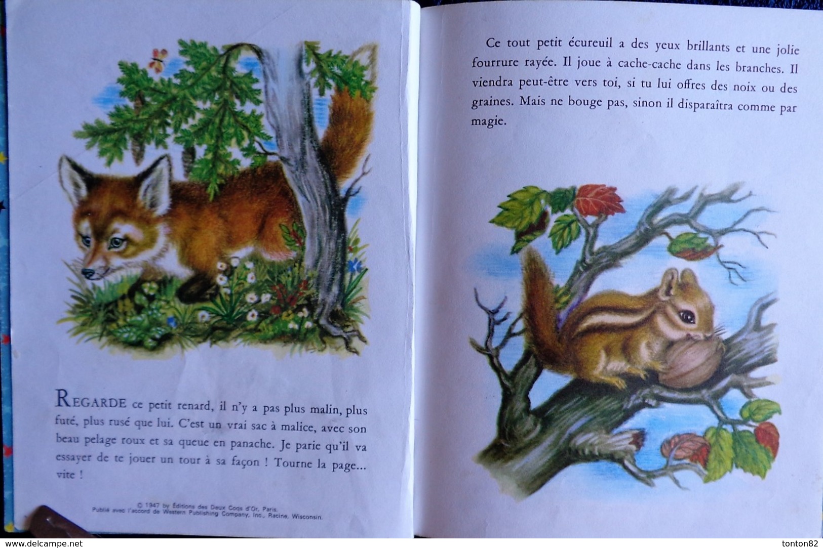 Un Petit Livre D'OR  N° 299 - Les Animaux Tout Petits - Éditions Des Deux Coqs D'Or - (  1972 ) . - Autres & Non Classés