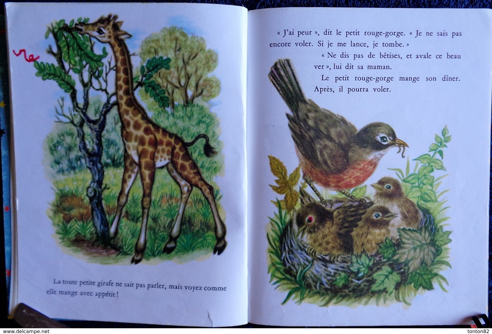 Un Petit Livre D'OR  N° 299 - Les Animaux Tout Petits - Éditions Des Deux Coqs D'Or - (  1972 ) . - Autres & Non Classés
