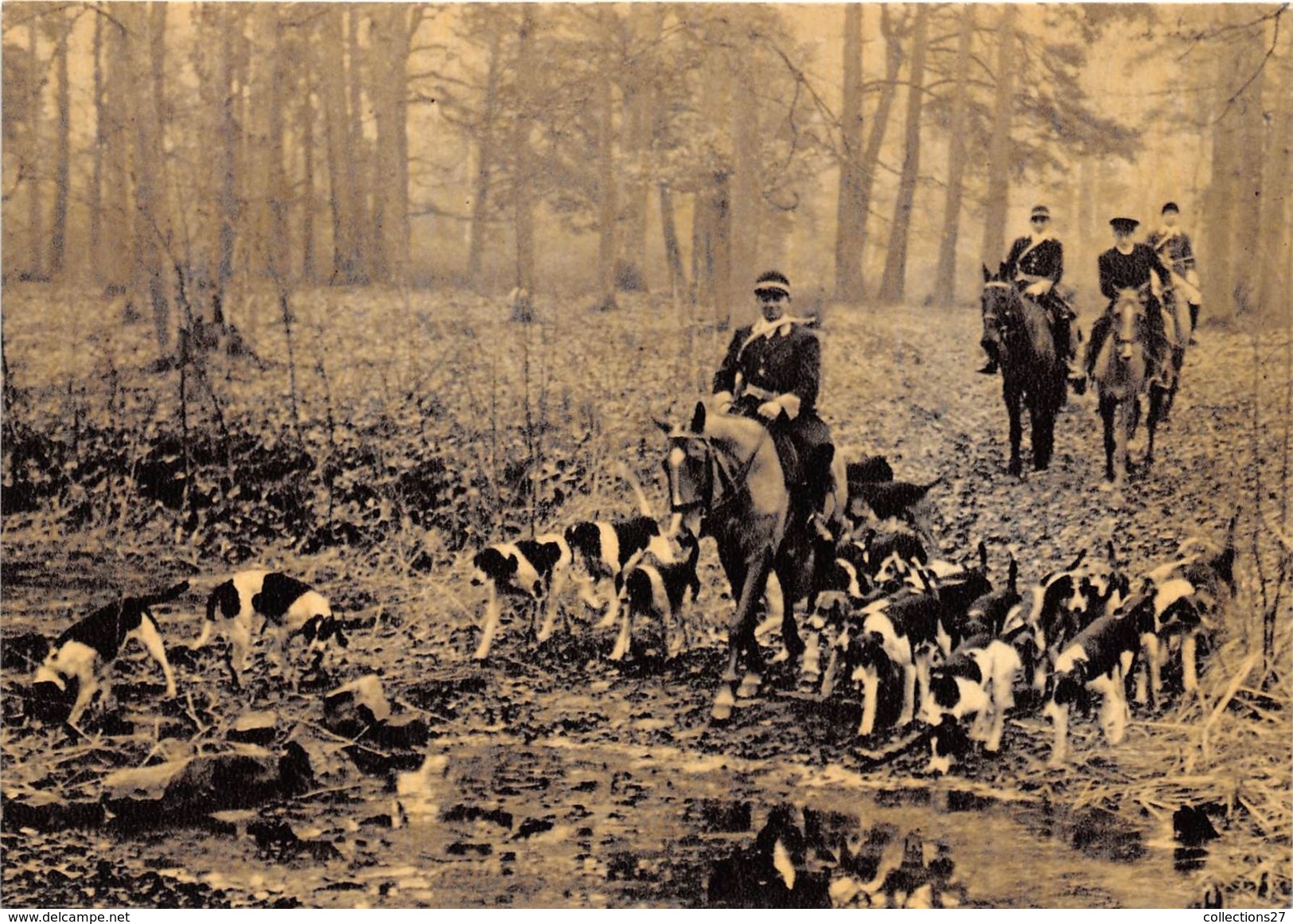 60-SENLIS- LA CHASSE A COURRE- Lot De 8 Cartes - Senlis