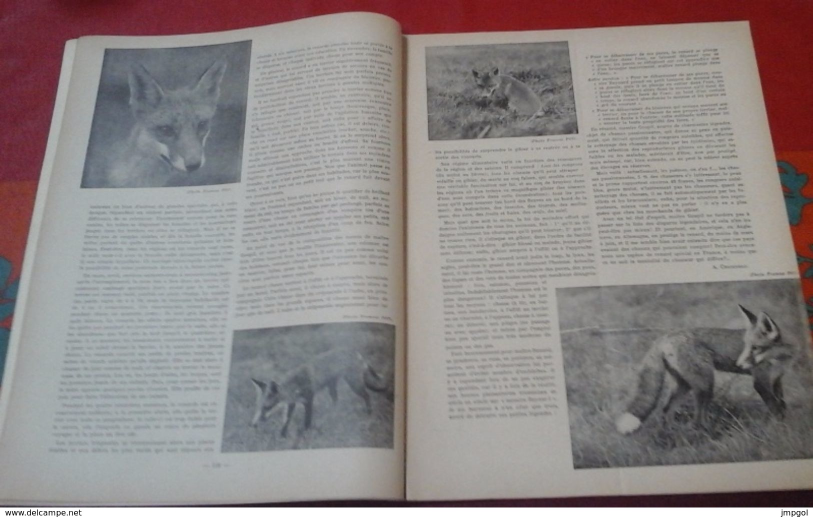 Le Saint Hubert N° 5 Mai 1939, Le Renard, Chasses Coloniales, Les Colombidés, Le Marquis De Beaucaire - Chasse/Pêche