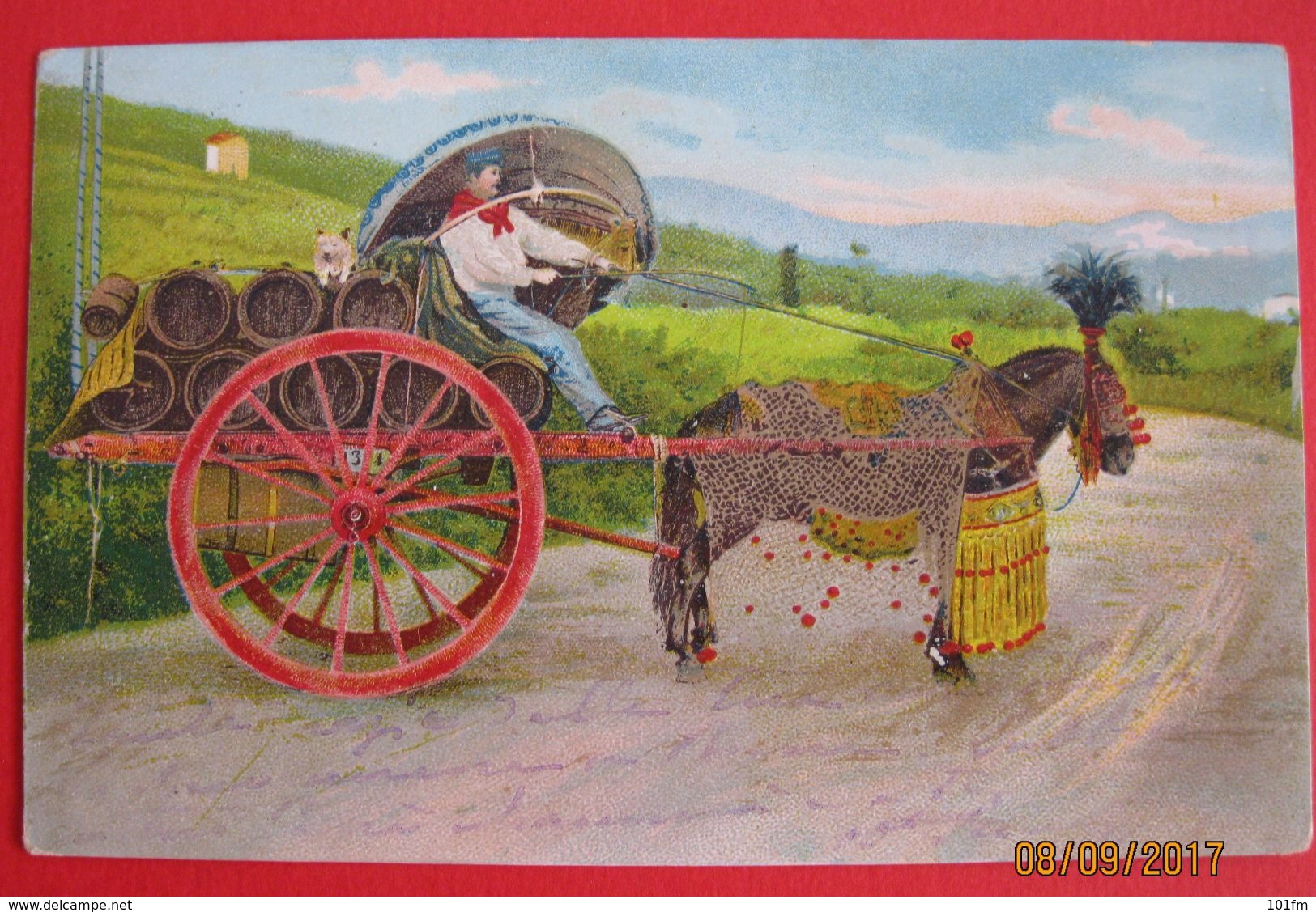 Caretto Di Vino, Vine Transport 1908 - Vines