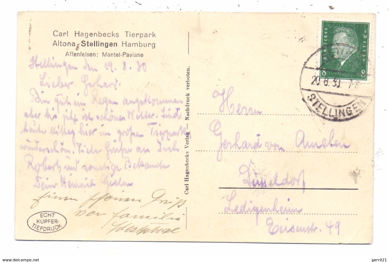 2000 HAMBURG - STELLINGEN, Carl Hagenbecks Tierpark / Zoo, Affenfelsen, Mantel Paviane, 1930 - Stellingen