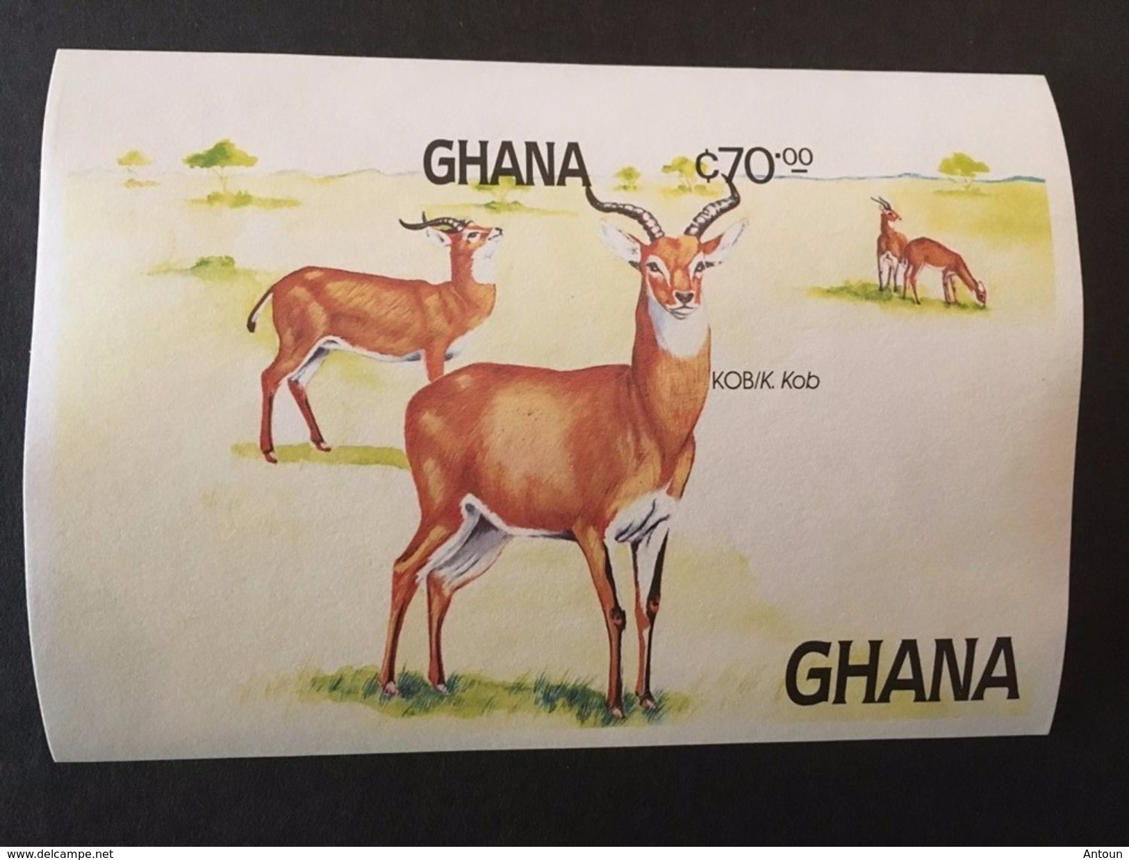 Ghana 1984 Scott 931 Imperforated - Ghana (1957-...)