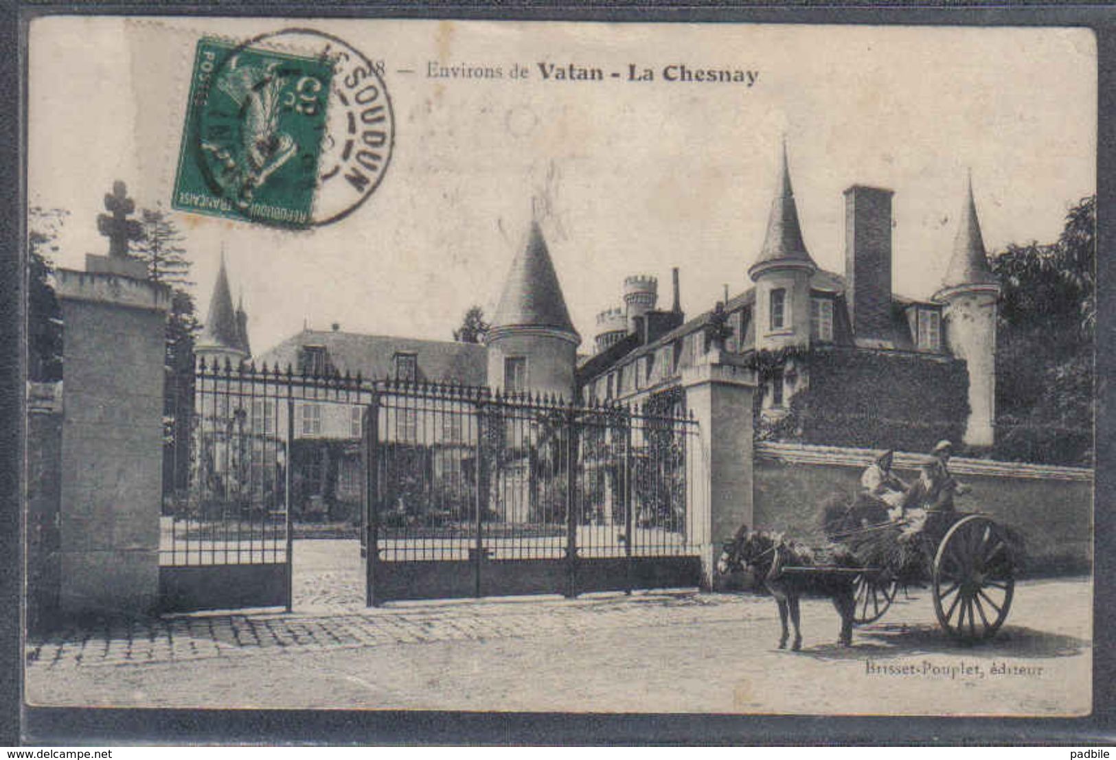 Carte Postale 36. Environ De Vatan  La Chesnay  Trés Beau Plan - Autres & Non Classés