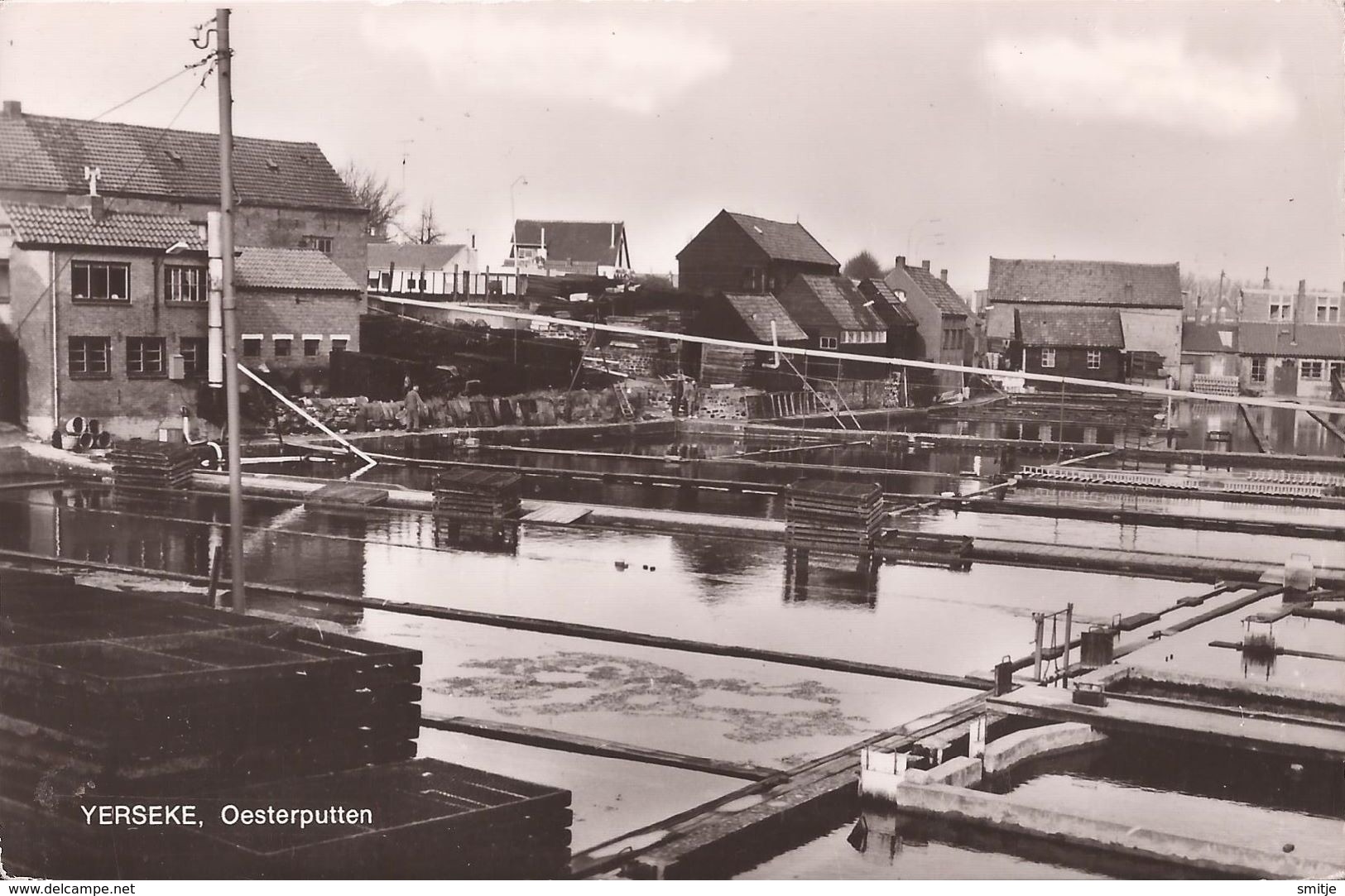 YERSEKE 1972 - OESTERCULTUUR OESTERS HUITRES - OESTERPUTTEN - 2 SCANS - Yerseke