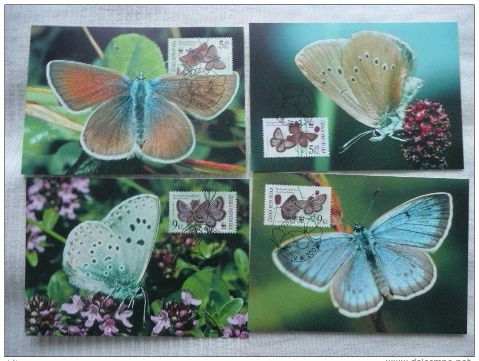 WWF Czech Tschechien Ceska Large Blue Butterflies Bläulinge 2002 CM MK MC Maxi Maximum Card Carte Maxicard Maximumkarte - Maximum Cards