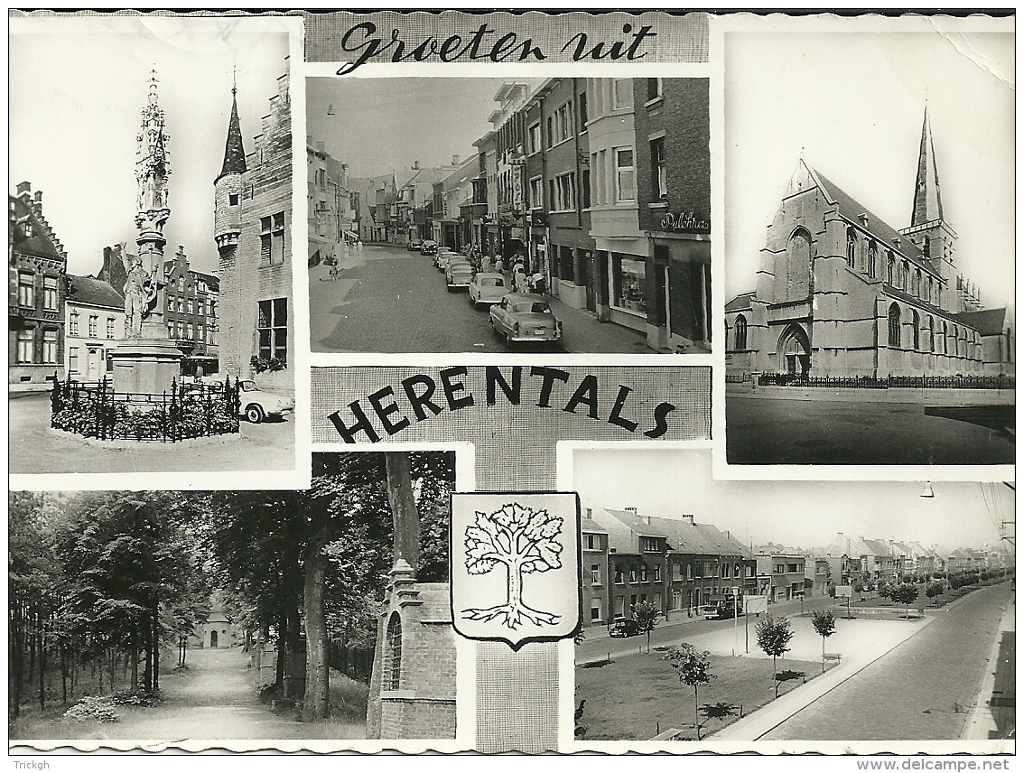 Herentals / Multiview - Herentals