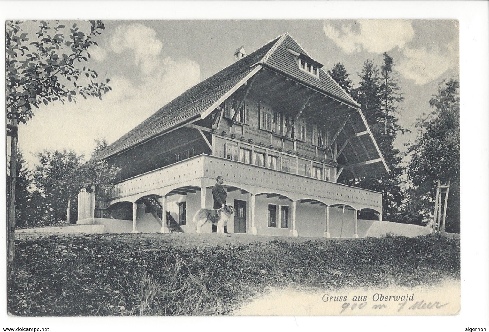 17556 - Gruss Aus Oberwald Chien - Oberwald