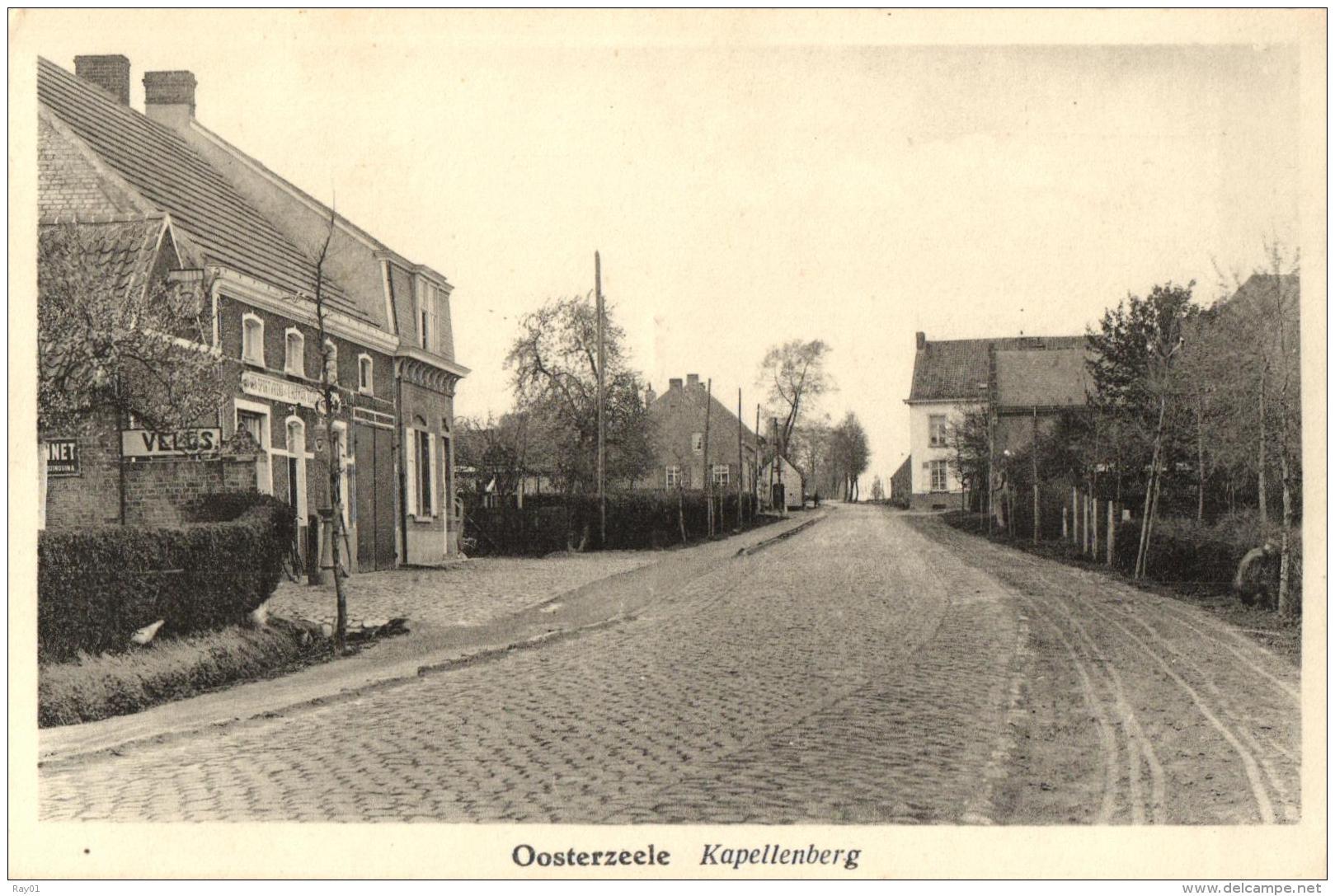 BELGIQUE - FLANDRE ORIENTALE - OOSTERZEELE - OOSTERZELE - Kapellenberg. - Oosterzele