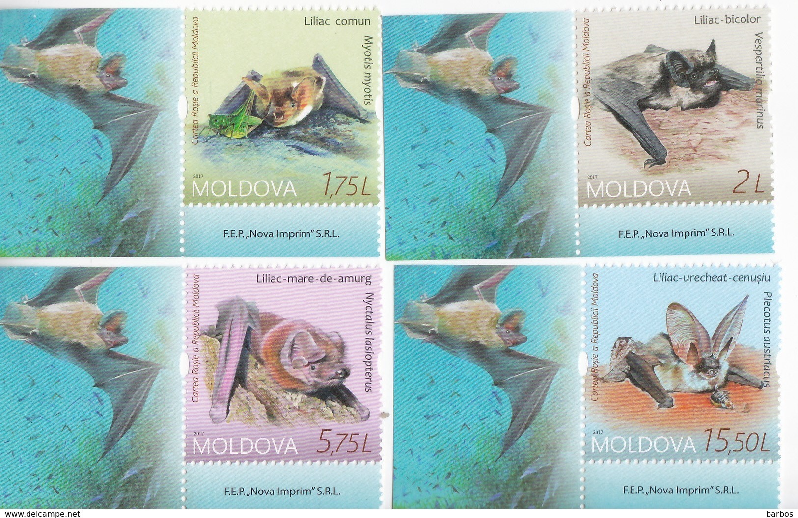 2017 , Moldova , Moldavie , Red Book , Protected Fauna , The Bats , Set , MNH - Fledermäuse