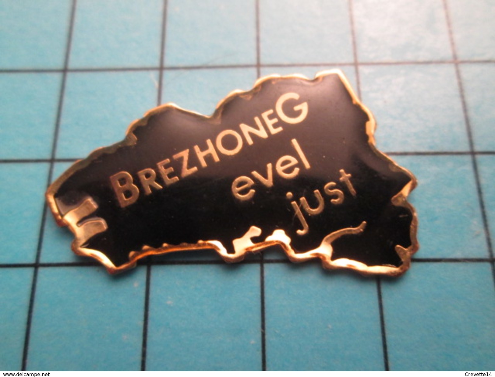 Pin2217 Pin´s Pins : BEAU ET RARE : AUTRES / BRETAGNE BREZHONEG EVEL JUST - Altri & Non Classificati